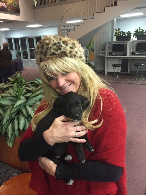 Pam Callan holding a small black dog.